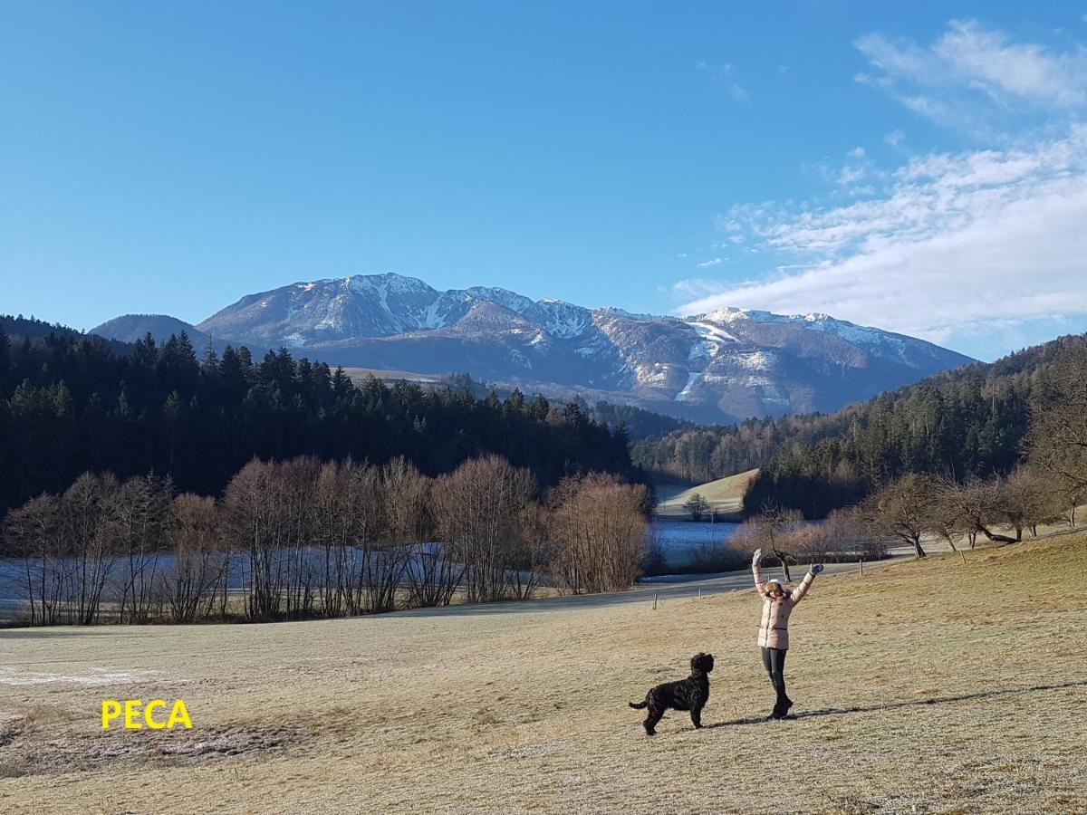 Bed and Breakfast Gostilna Pik Prevalje Esterno foto